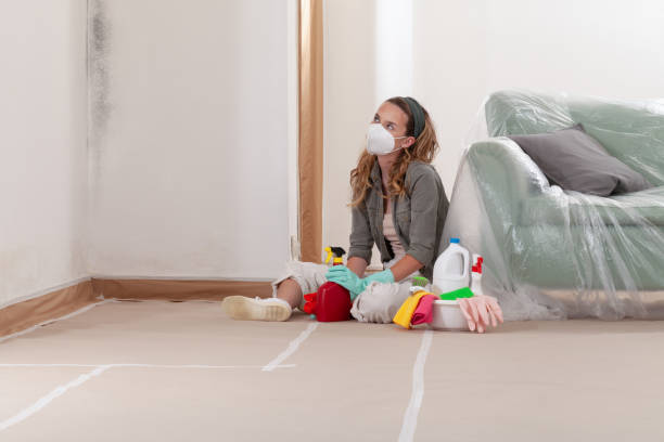 Reliable Mold Remediation contractor in Chelsea, MA by Mold Remediation HQ
